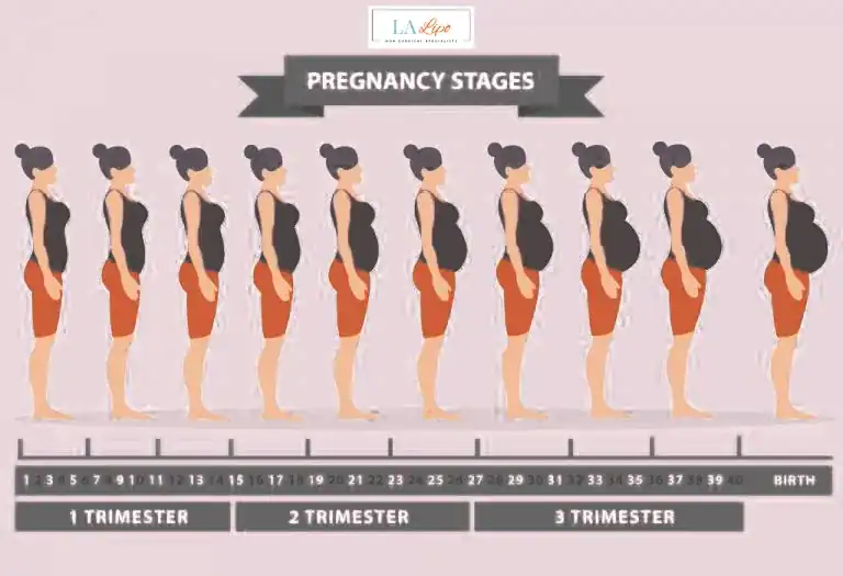 First Trimester (Weeks 1–12): Early Changes You Might Not Notice Bridgnorth